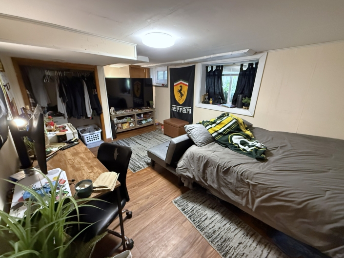 Basement Den