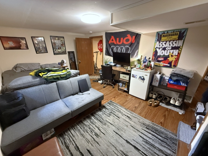 Basement Den